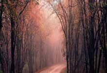 征途国际官网:切尔西7400万欧签两人喜获官方宣布 抢下曼联必争之人.