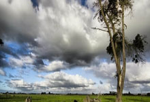 征途国际官网:热搜第一!她突然宣布退赛.