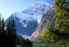 征途国际官网:热搜第一!她突然宣布退赛.