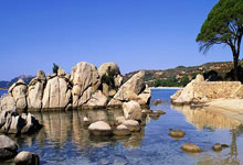 亚历山大:祖巴茨真的很棒 他是联盟中最好的大个子之一.